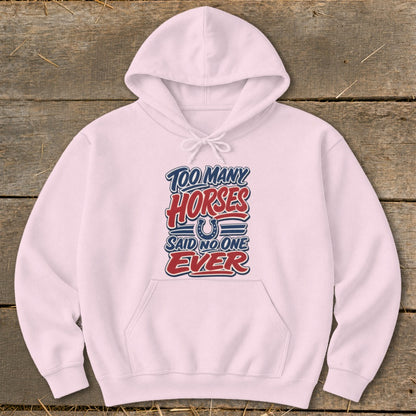 Pink hoodie with "Too Many Horses Said No One Ever" text and horseshoe graphic.