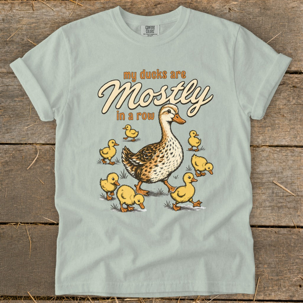 T-shirt with a mother duck and ducklings graphic and text "my ducks are mostly in a row".