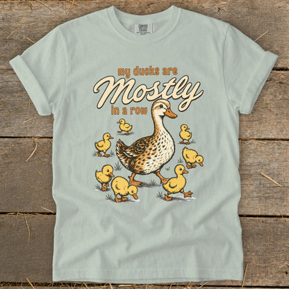 T-shirt with a mother duck and ducklings graphic and text "my ducks are mostly in a row".