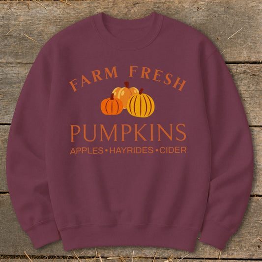 Maroon sweatshirt with "Farm Fresh Pumpkins" and harvest activities text.