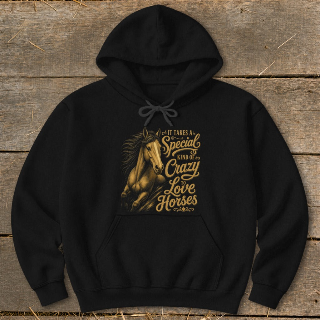 Black hoodie with "It takes a special kind of crazy to love horses" text and horse graphic.