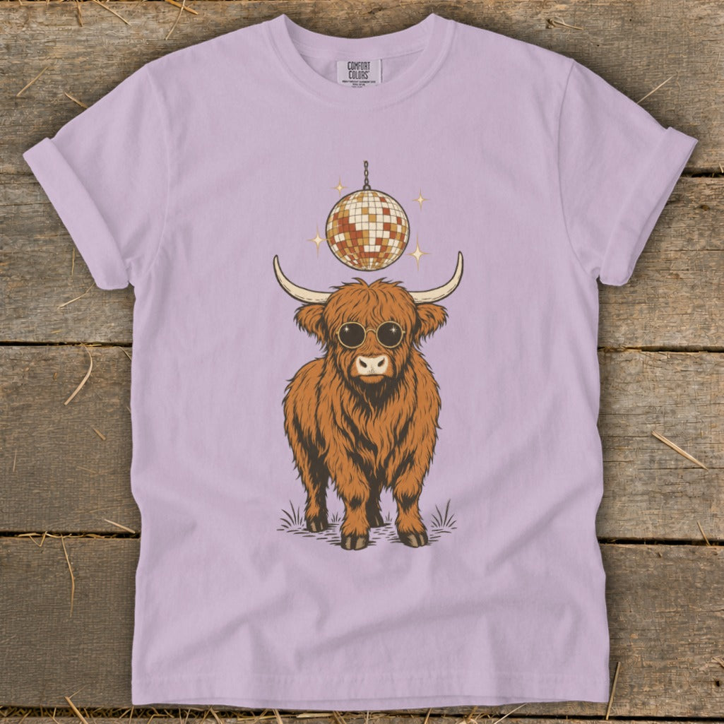 Highland cow wearing sunglasses under a disco ball.