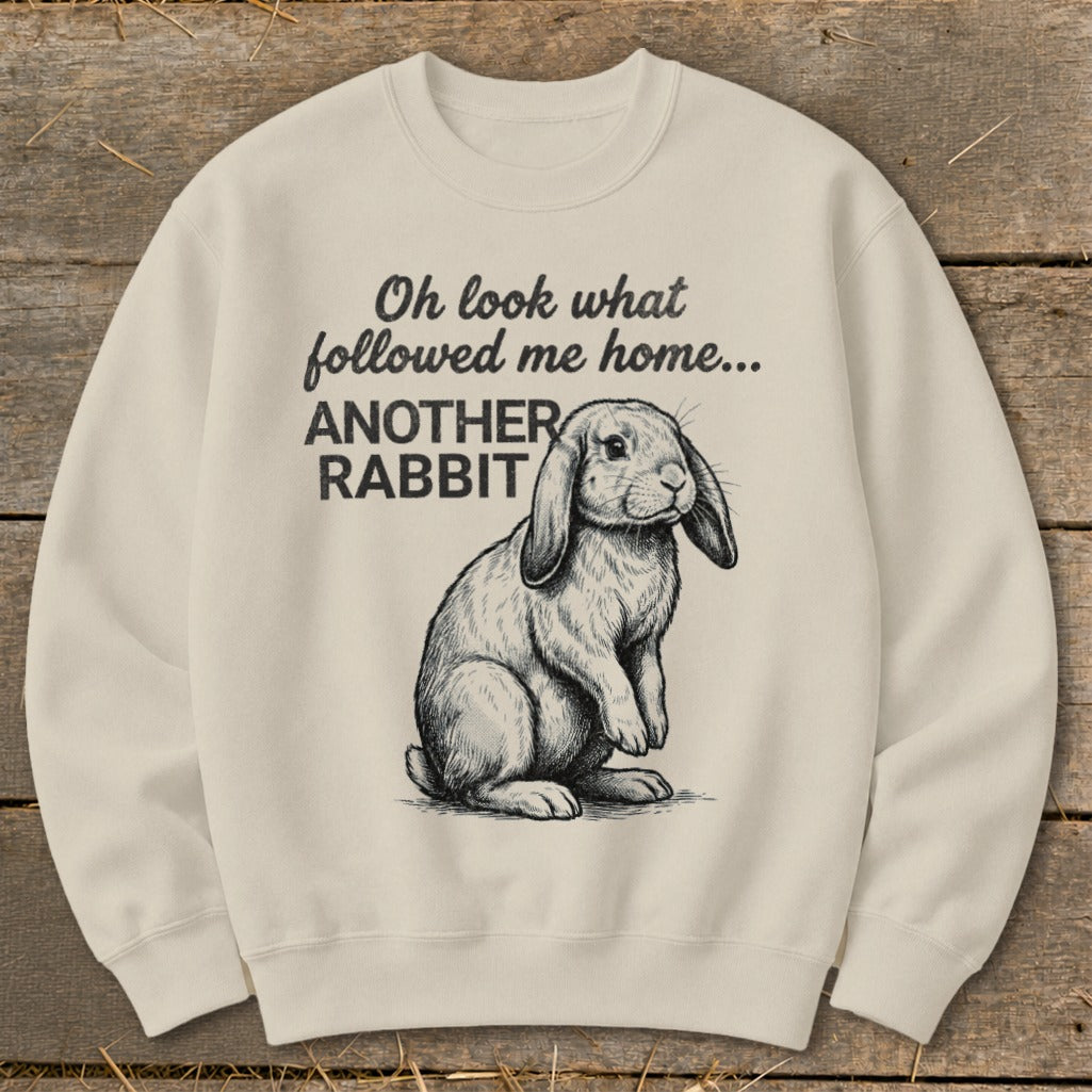 Cream sweatshirt with sketch of a rabbit and text "Oh look what followed me home... ANOTHER RABBIT".