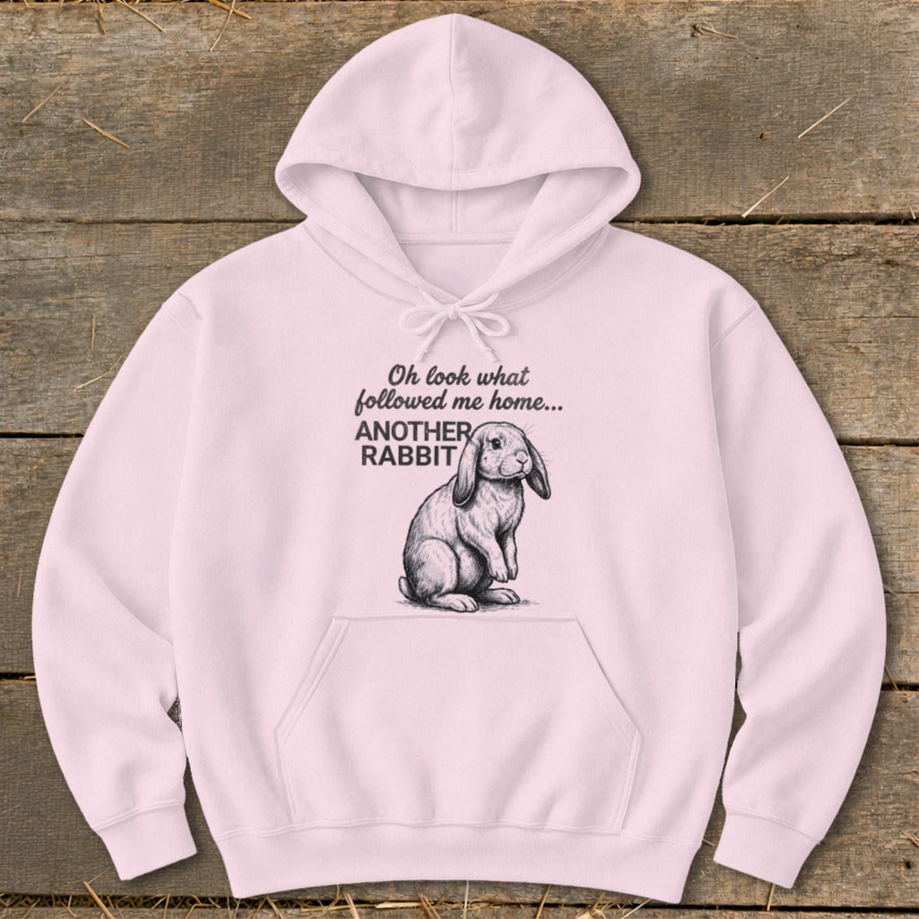 Light pink hoodie with a drawing of a rabbit and the text "Oh look what followed me home... ANOTHER RABBIT".