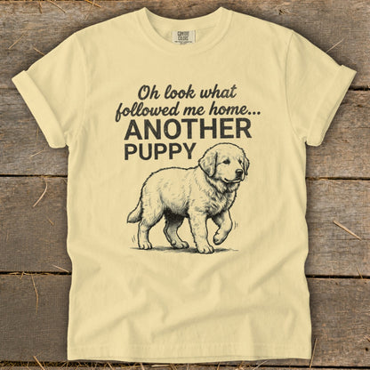 Yellow t-shirt with black text and a sketch of a puppy. Text reads "Oh look what followed me home... ANOTHER PUPPY".
