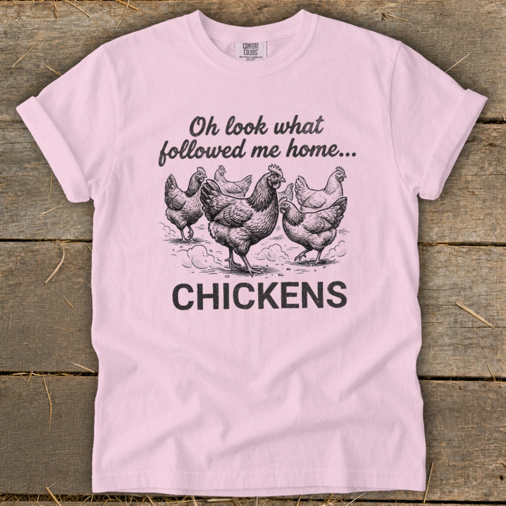 Pink t-shirt with "Oh look what followed me home... CHICKENS" text and chicken illustrations.