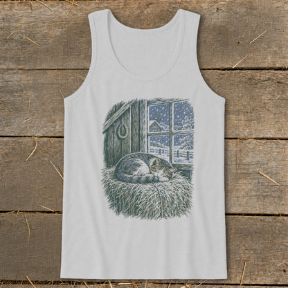 Tabby cat sleeping on hay in front of a barn window showing a snowy scene.