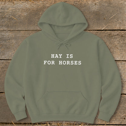 Green hoodie with "HAY IS FOR HORSES" text on wooden background