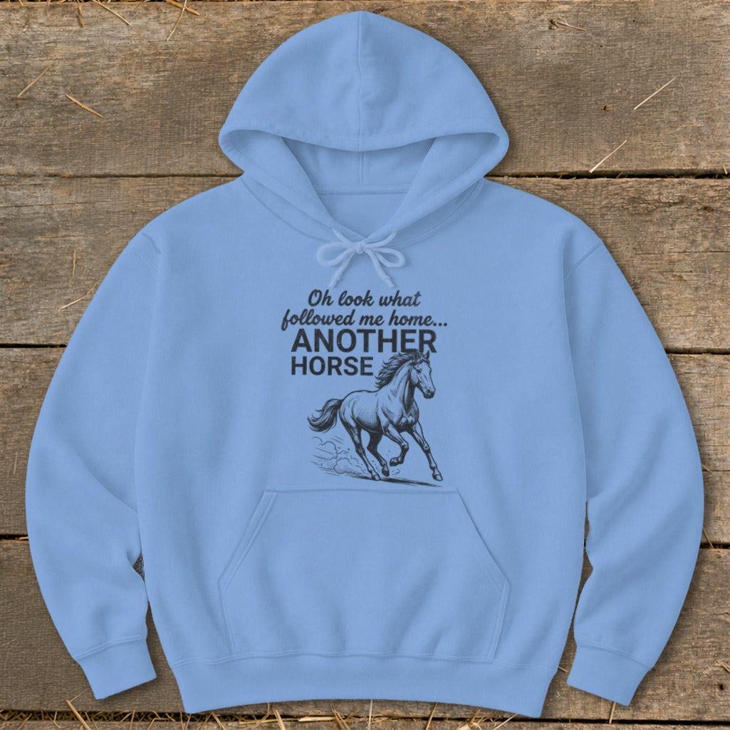 Light blue hoodie with "Oh look what followed me home... ANOTHER HORSE" text and running horse graphic.