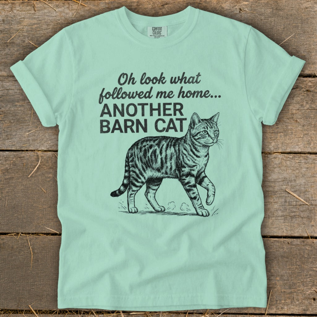 Mint green t-shirt with a barn cat graphic and text: Oh look what followed me home... ANOTHER BARN CAT.