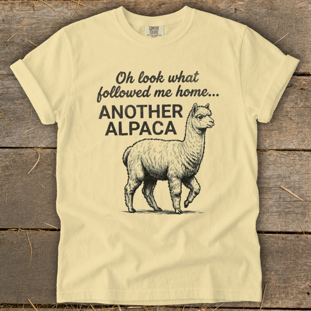Light yellow t-shirt with "Oh look what followed me home... ANOTHER ALPACA" and an alpaca graphic.
