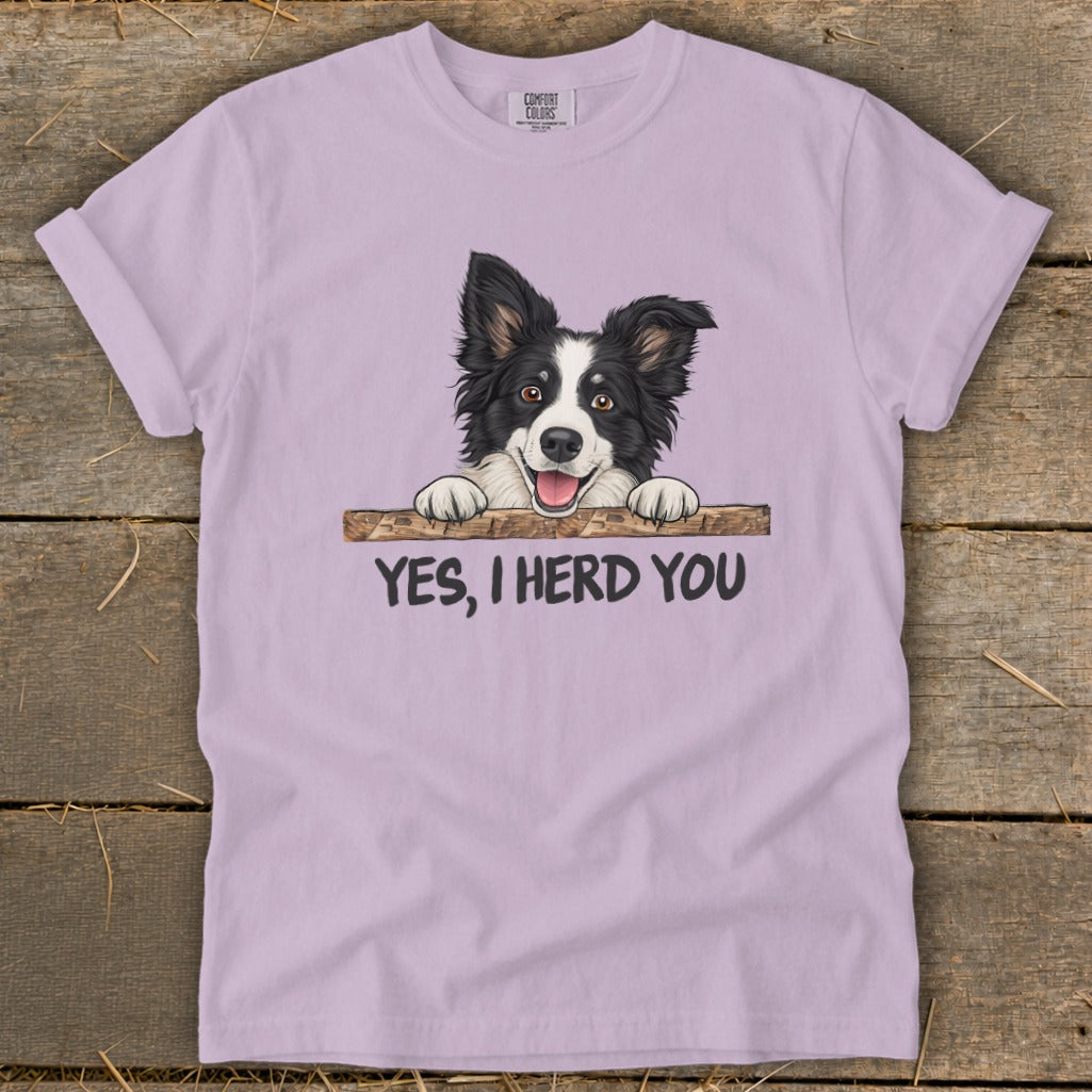 Light purple t-shirt with a Border Collie graphic and text "YES, I HERD YOU".