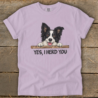 Light purple t-shirt with a Border Collie graphic and text "YES, I HERD YOU".