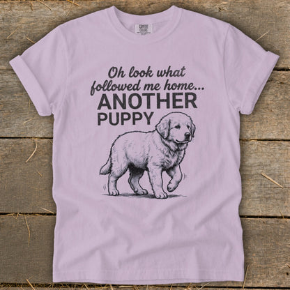 Light pink t-shirt with "Oh look what followed me home... ANOTHER PUPPY" and a puppy illustration.