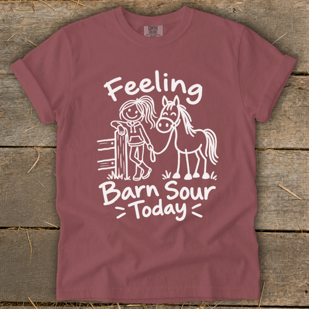 Maroon t-shirt with white text and line drawing of girl with horse and fence.