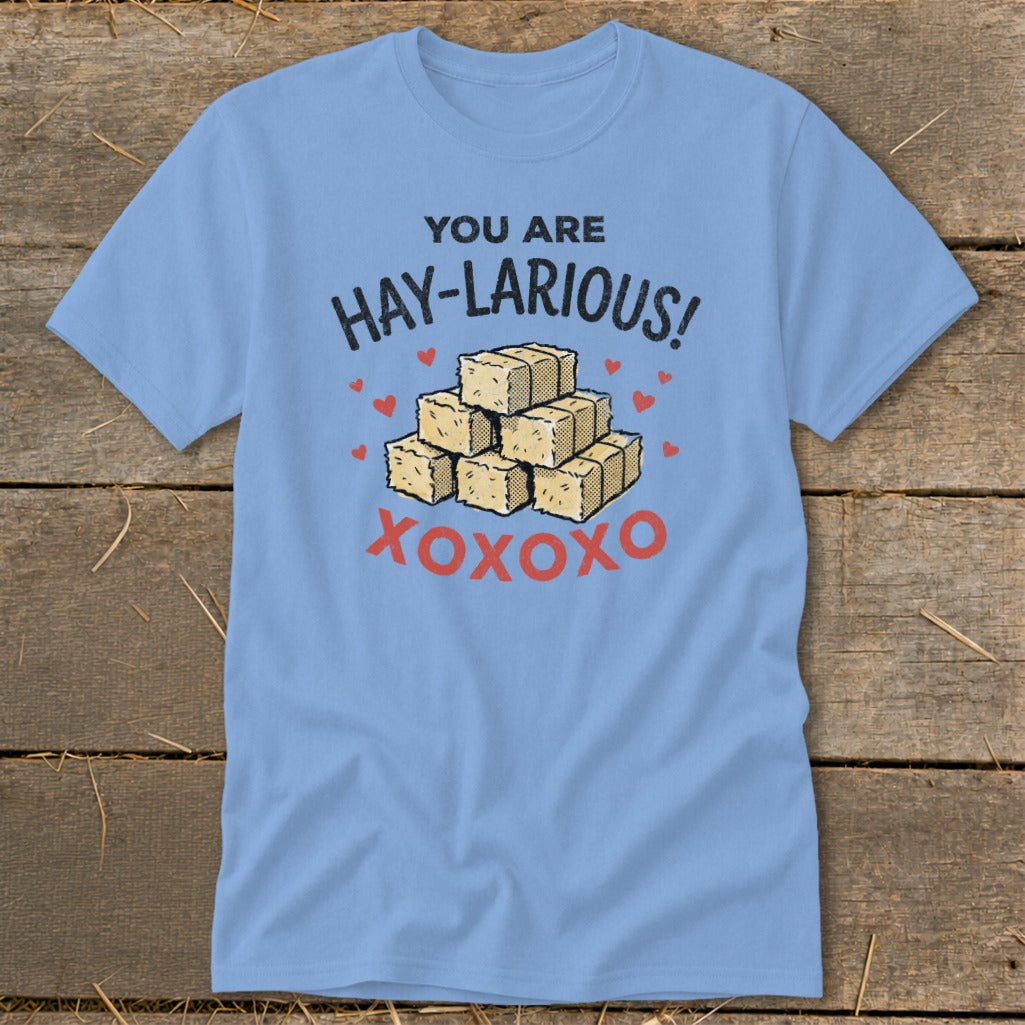 Light blue t-shirt with "YOU ARE HAY-LARIOUS! XOXOXO" and hay bales.