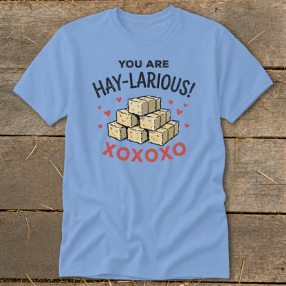Light blue t-shirt with "YOU ARE HAY-LARIOUS! XOXOXO" and hay bales.