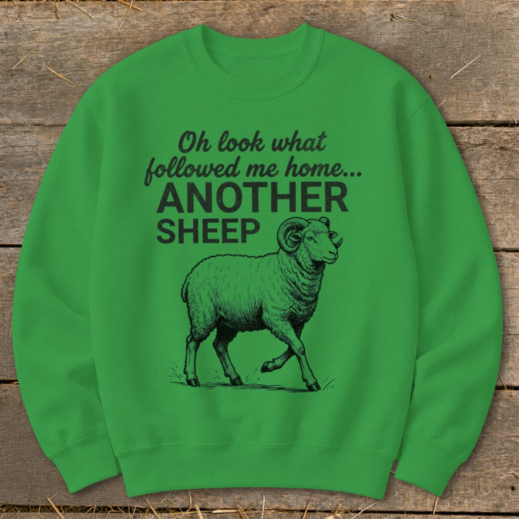 Green sweatshirt with "Oh look what followed me home... ANOTHER SHEEP" text and a sheep graphic.