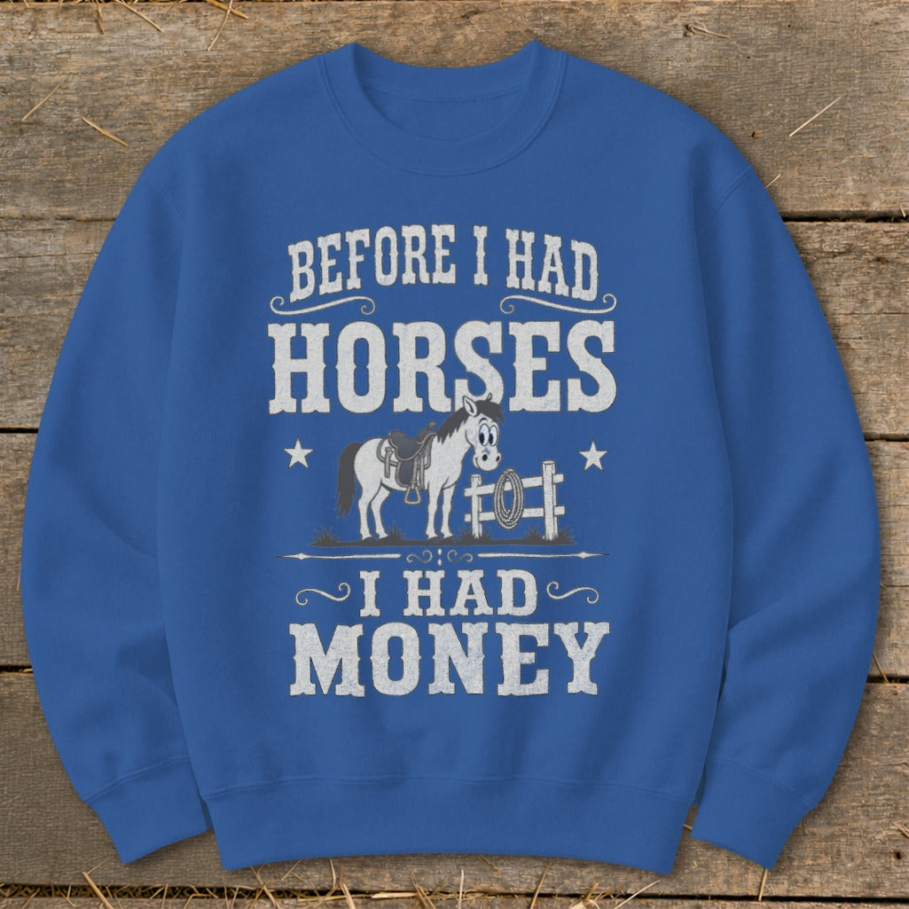 Blue sweatshirt with text "Before I Had Horses, I Had Money" and cartoon horse illustration.