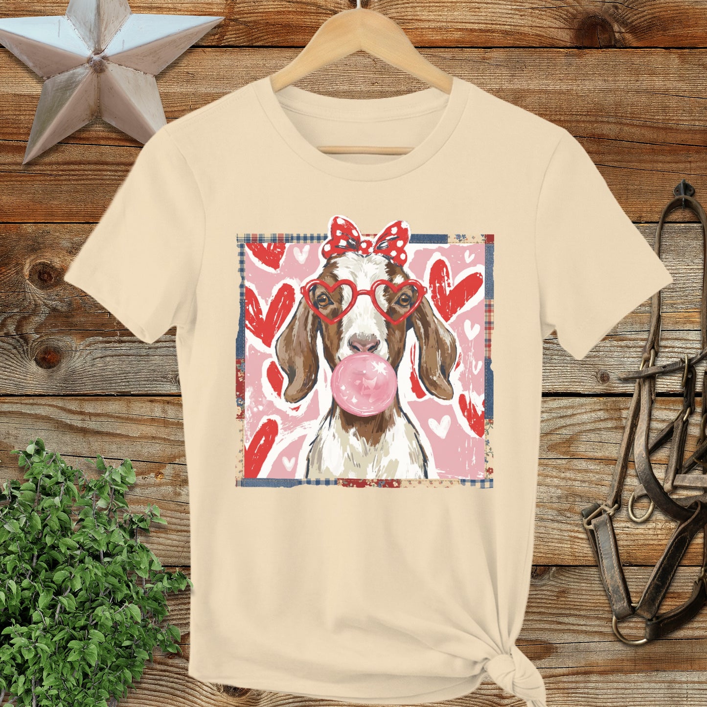 Whimsical Valentine - Floppy Ear Goat Ladies Tee