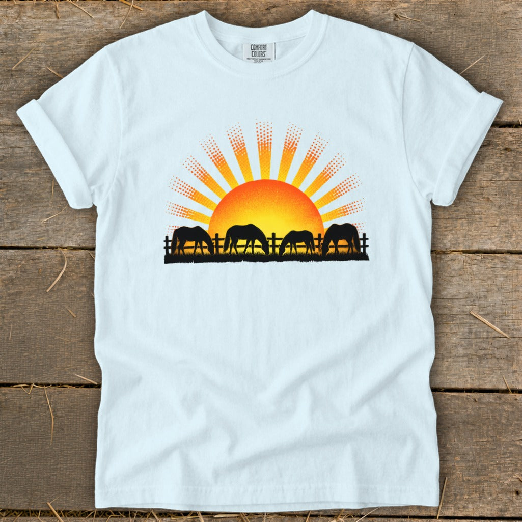 Silhouettes of four horses grazing in front of a sunrise with "Comfort Colors" text.