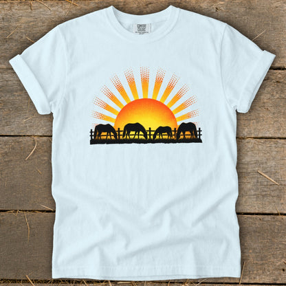 Silhouettes of four horses grazing in front of a sunrise with "Comfort Colors" text.