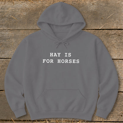Grey hoodie with white text that reads "HAY IS FOR HORSES".