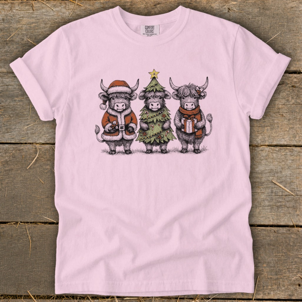 Three highland cows in festive attire: Santa, Christmas tree, and gift.