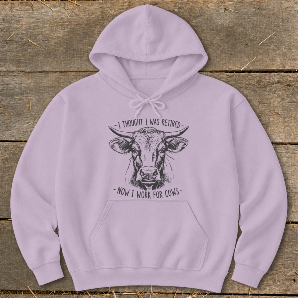 Lavender hoodie with sketch of cow and text "I thought I was retired - now I work for cows".