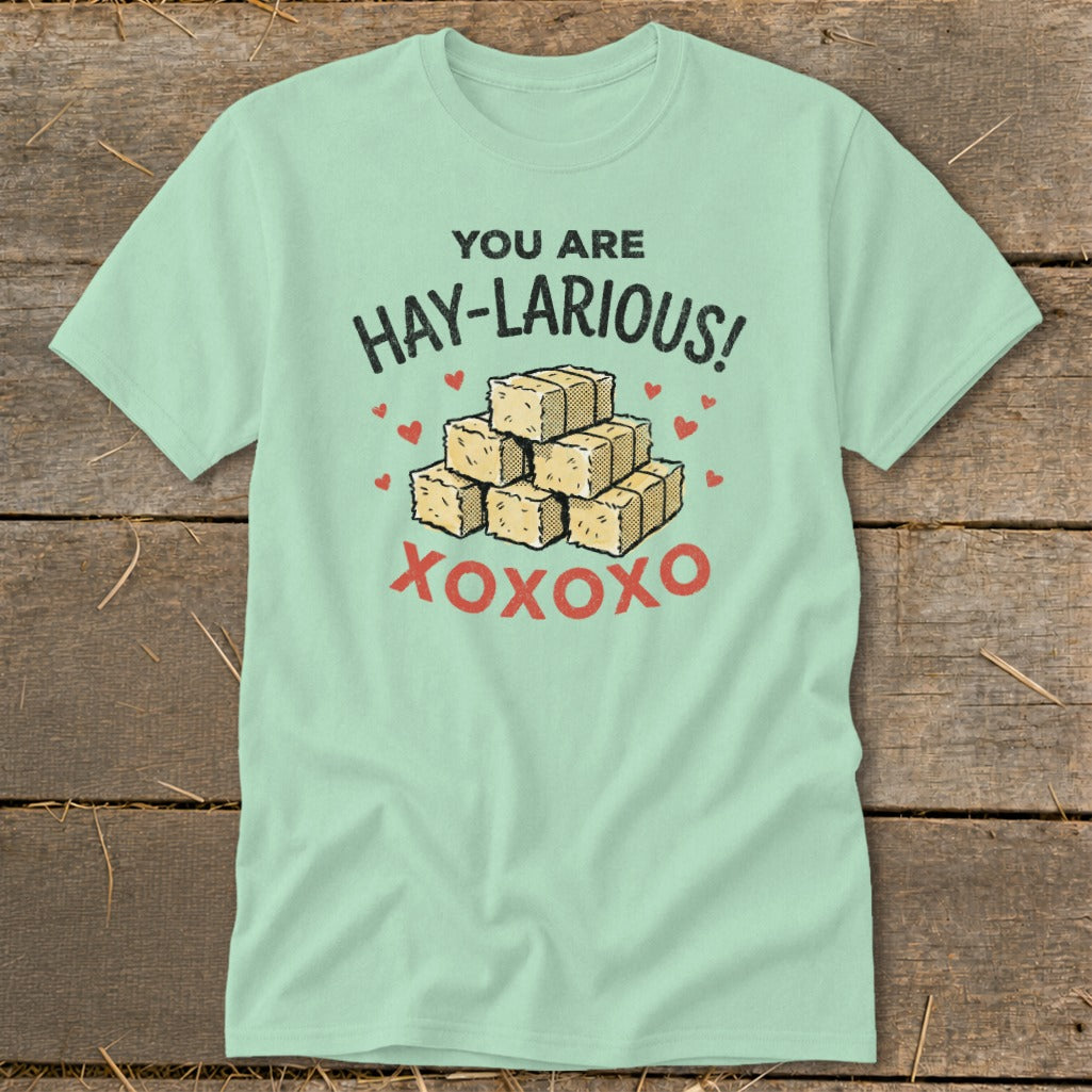 Light green t-shirt with "You Are Hay-Larious!" and stack of hay bales.