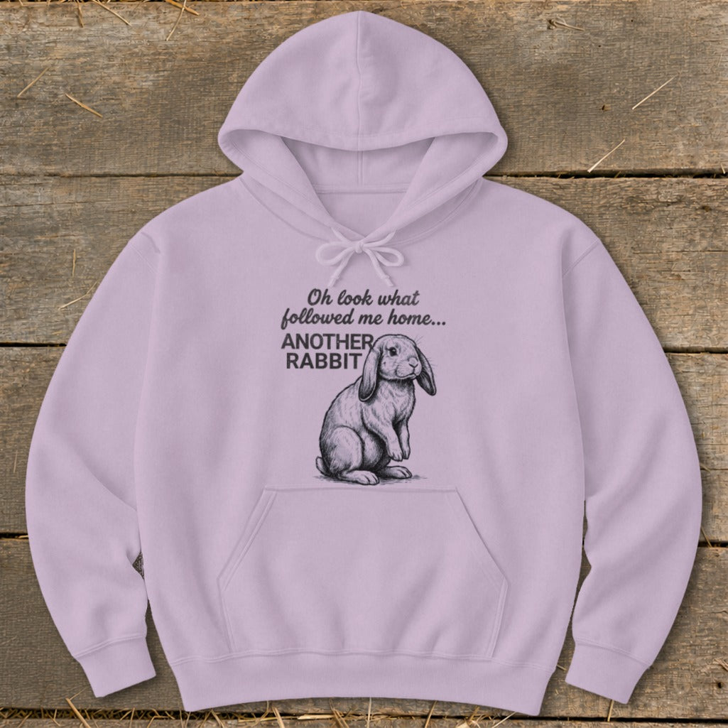 Light purple hoodie with "Oh look what followed me home... ANOTHER RABBIT" text and rabbit graphic.