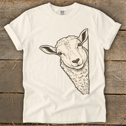 Illustration of a sheep peeking from the side of a cream-colored t-shirt.