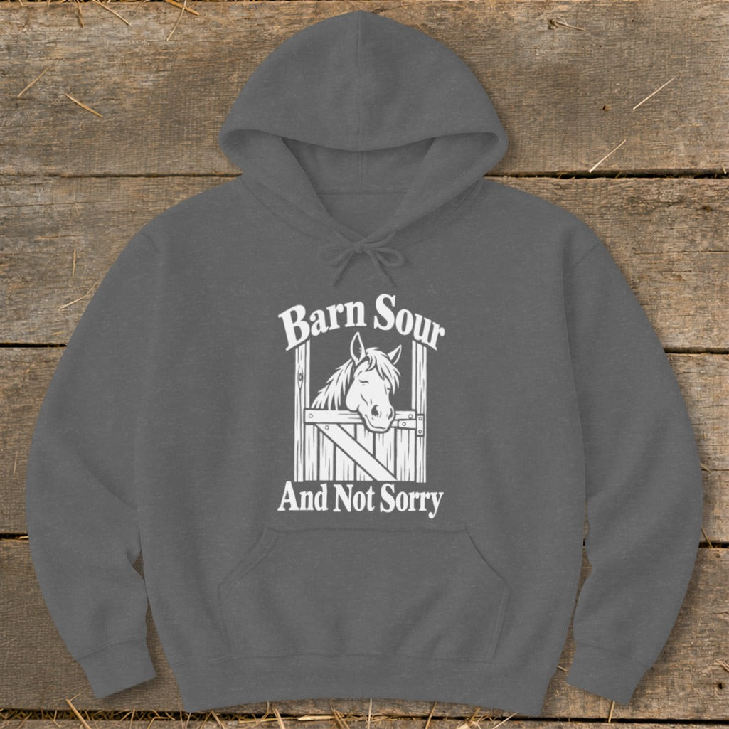 Barn Sour Hoodie