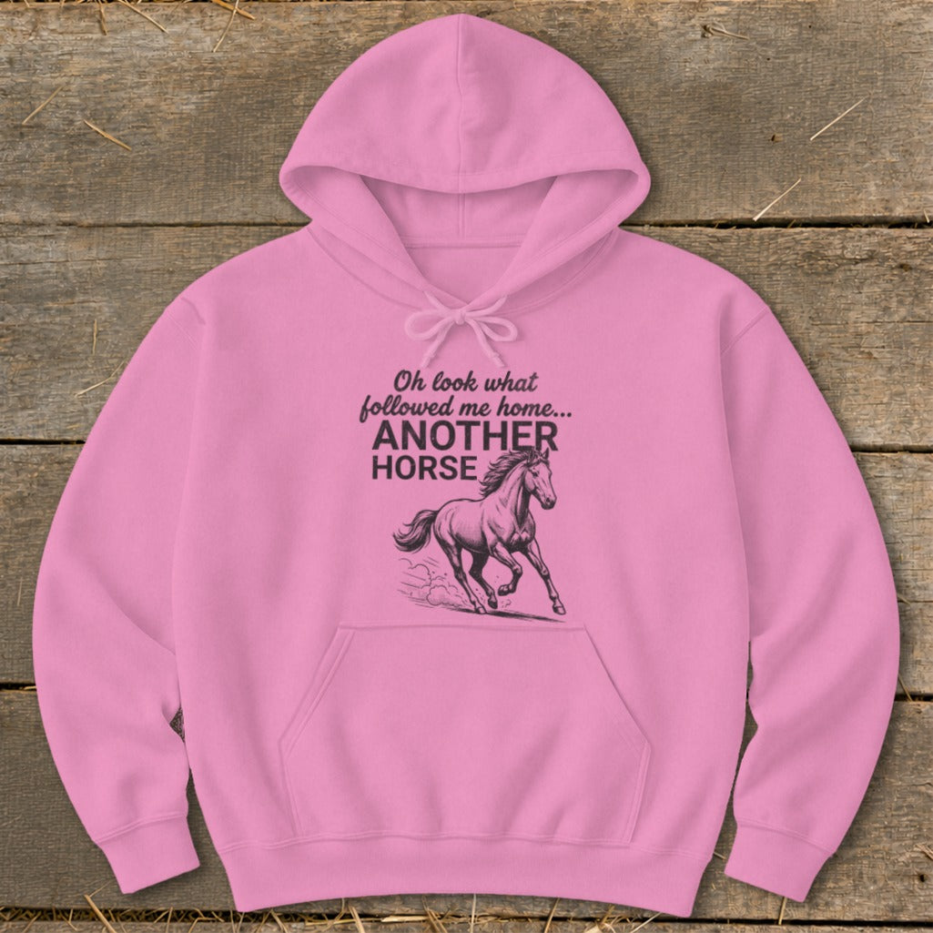 Pink hoodie with text "Oh look what followed me home... ANOTHER HORSE" and a horse graphic.