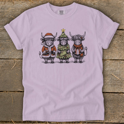 Three Highland cows dressed for Christmas, one in Santa suit, one as tree, one with gift.