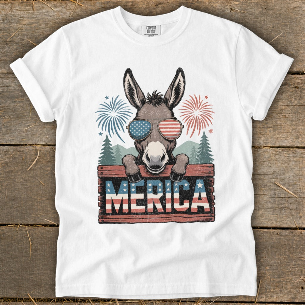 Donkey wearing American flag sunglasses and fireworks behind "MERICA" sign.