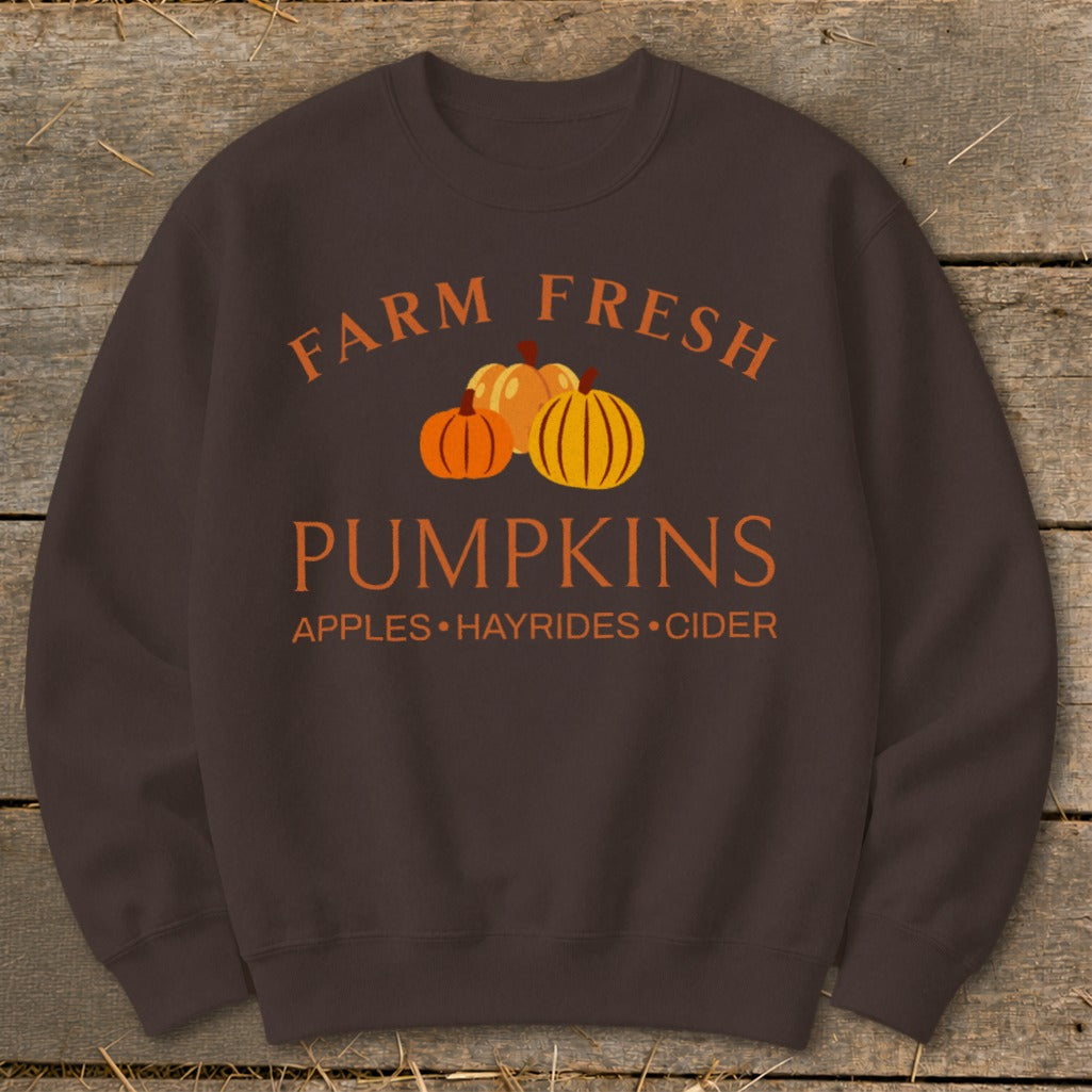 Brown sweatshirt with "Farm Fresh Pumpkins" and autumn activities text.
