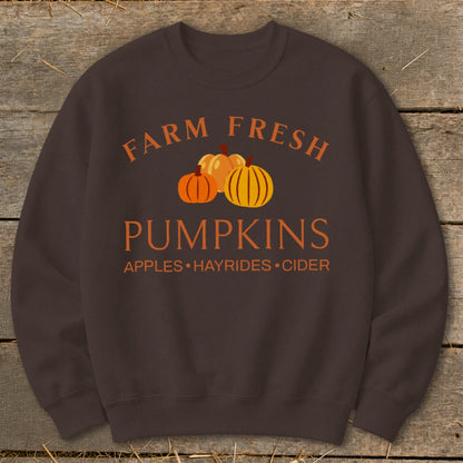 Brown sweatshirt with "Farm Fresh Pumpkins" and autumn activities text.