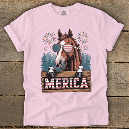 Horse wearing American flag sunglasses with fireworks and "MERICA" sign.