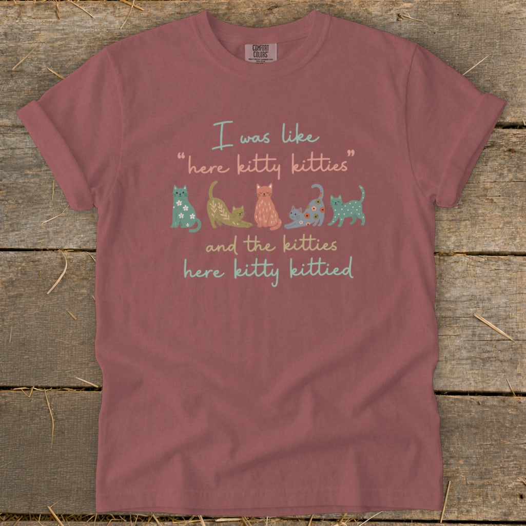 T-shirt with "I was like, 'here kitty kitties,' and the kitties here kitty kittied" and cute cats.