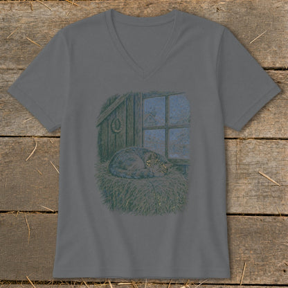 T-shirt with illustration of a sleeping cat on hay by a frosted window.