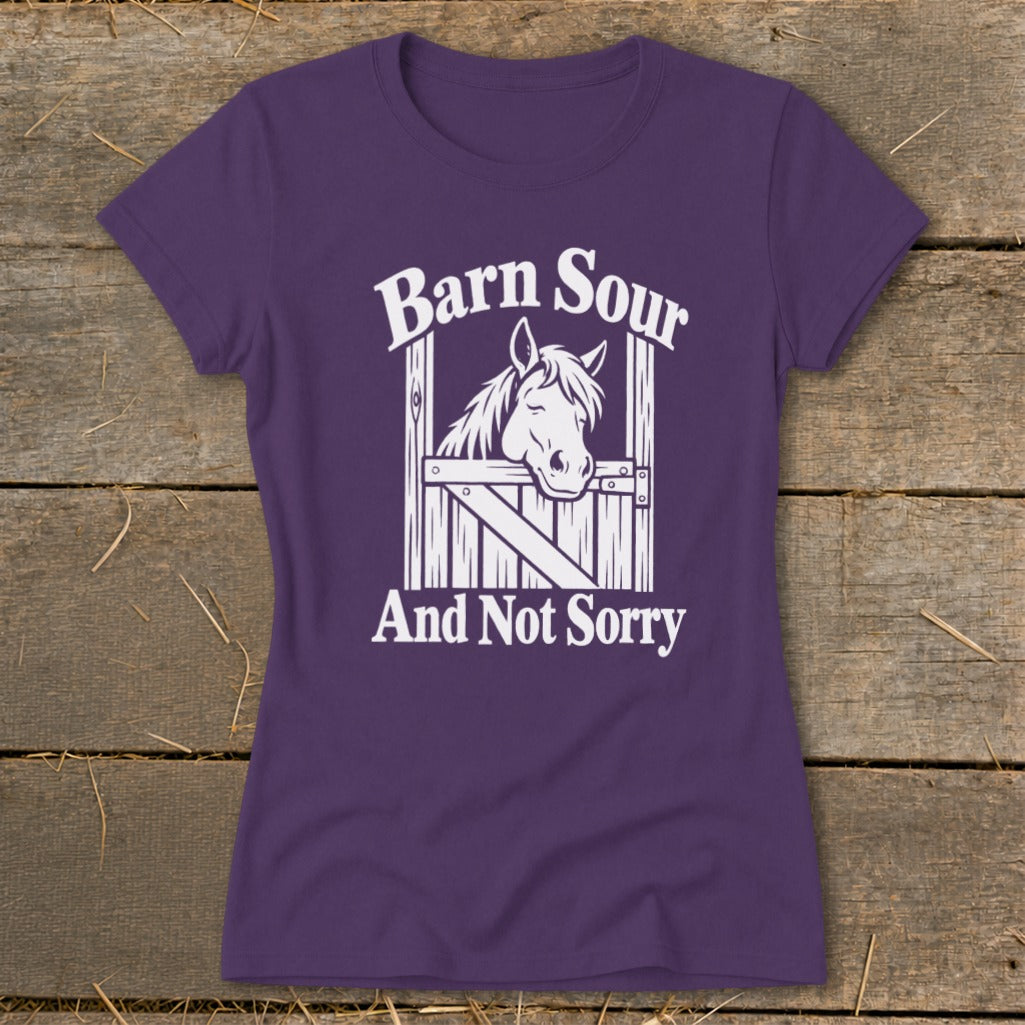 Barn Sour Ladies Tee