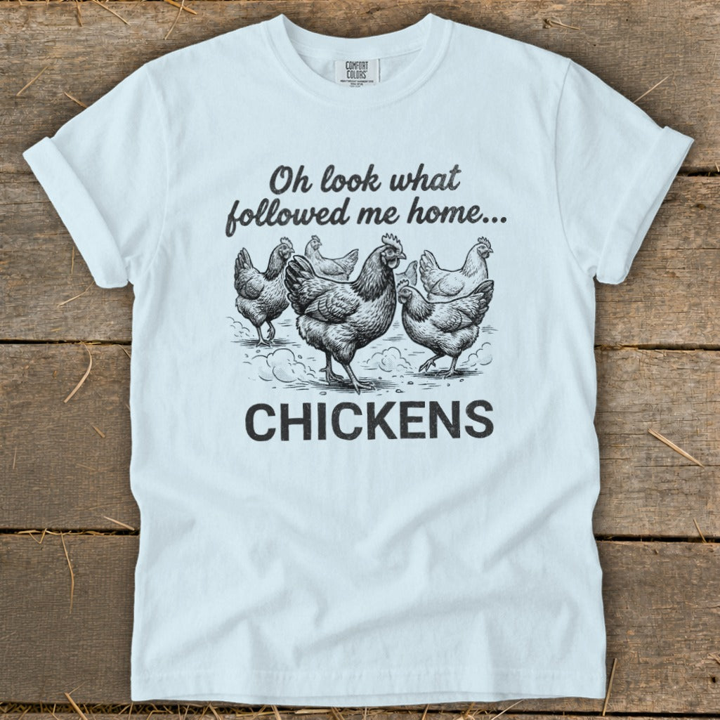 Light blue t-shirt with "Oh look what followed me home..." and chickens.