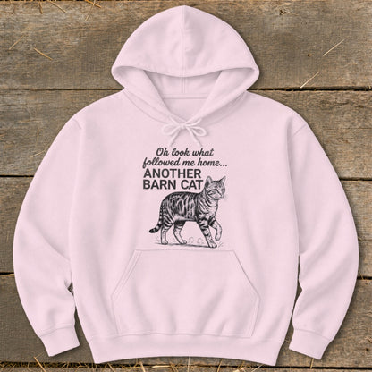 Light pink hoodie with text "Oh look what followed me home... ANOTHER BARN CAT" and a tabby cat illustration.