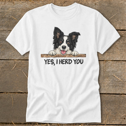 White t-shirt with Border Collie graphic and text "YES, I HERD YOU".