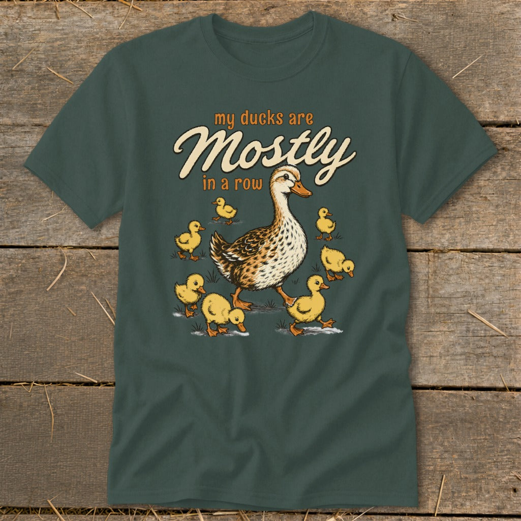 T-shirt graphic of a duck and ducklings with text "my ducks are Mostly in a row".