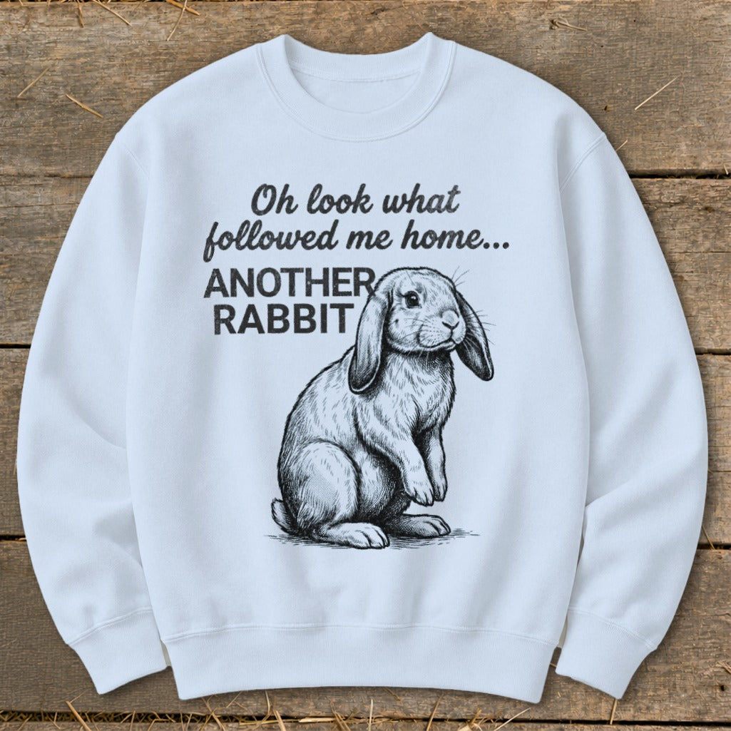 Light blue sweatshirt with a sketched rabbit and text "Oh look what followed me home... ANOTHER RABBIT".