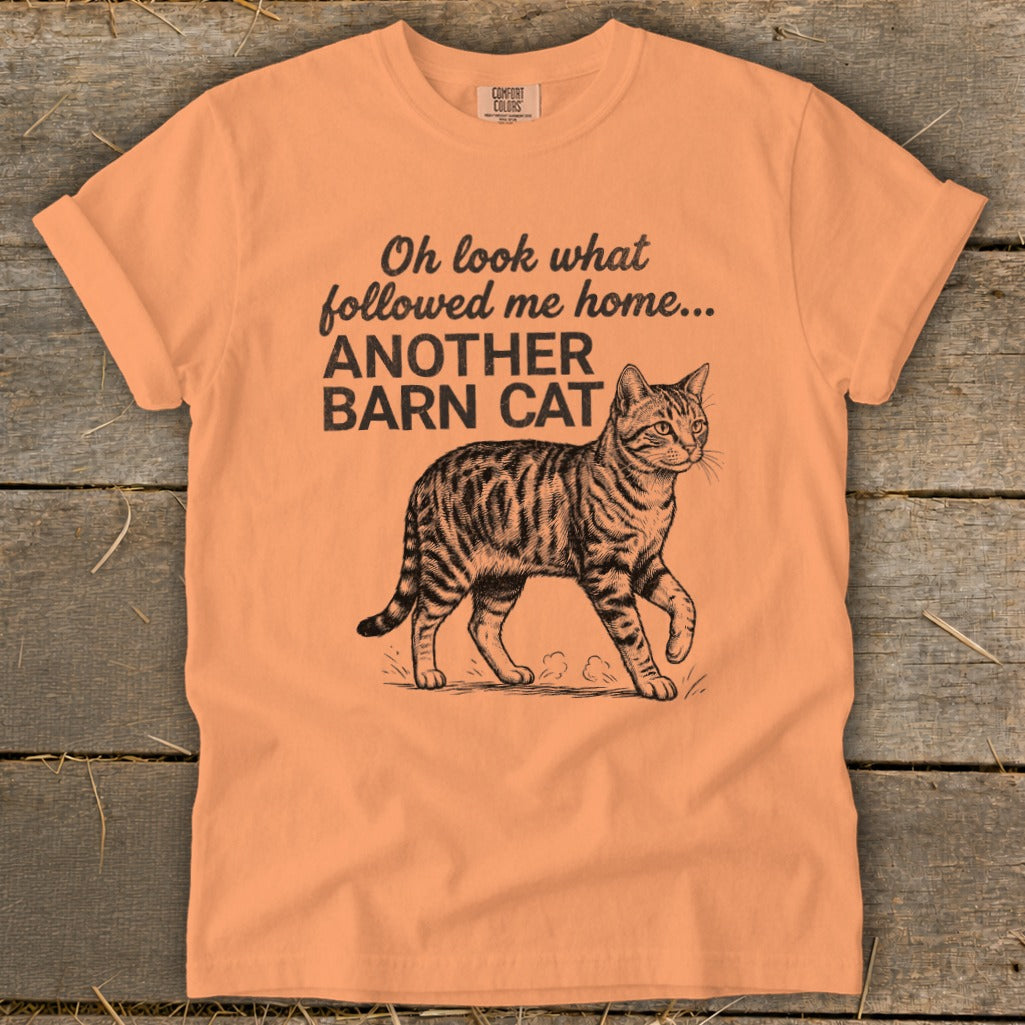 Orange t-shirt with black text and drawing of a tabby cat.