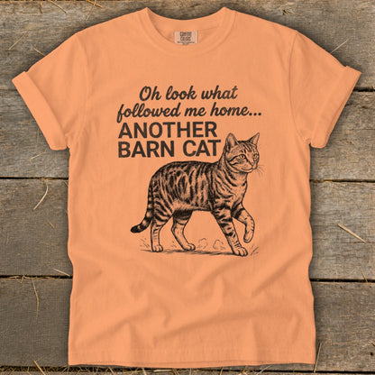 Orange t-shirt with black text and drawing of a tabby cat.