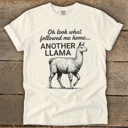 Cream t-shirt with black text "Oh look what followed me home... ANOTHER LLAMA" and llama graphic.
